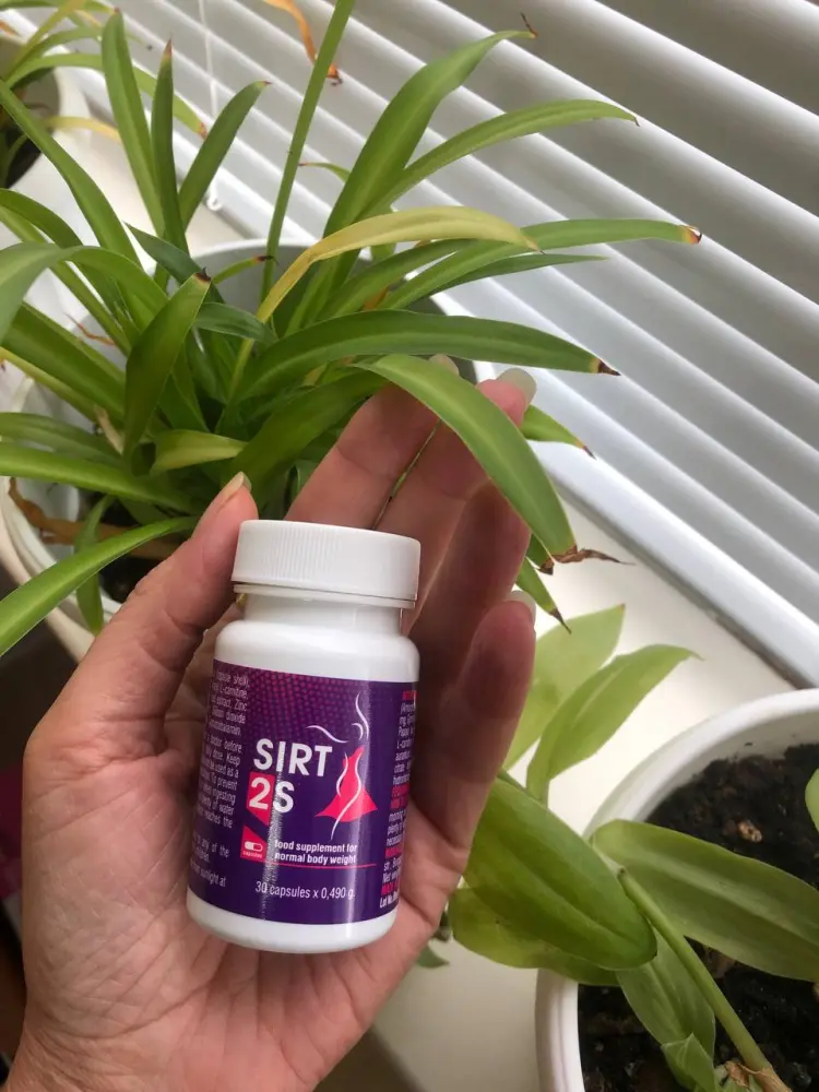 Sirt2S